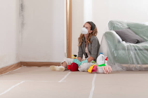 Reliable Mold Removal contractor in Florence, TX by WQB Mold Removal